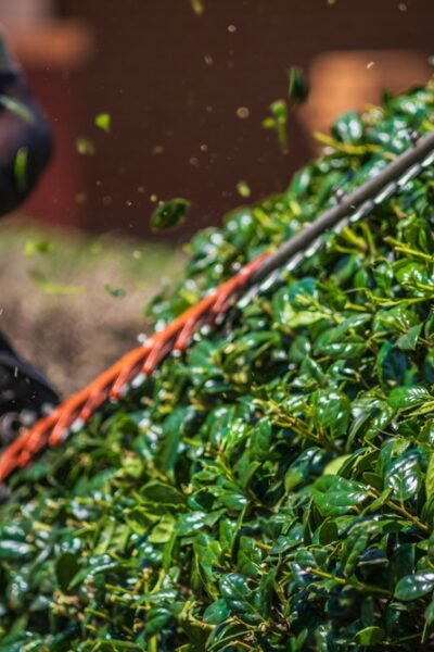 AdobeStock-kyEMUzd4tG AdobeStock-kyEMUzd4tG