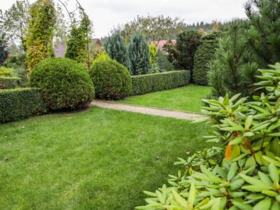 AdobeStock-ygtUTlacnu AdobeStock-ygtUTlacnu